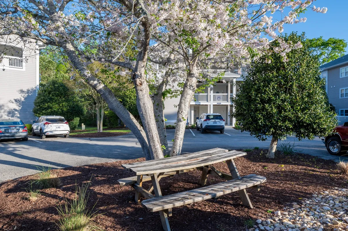 A picturesque picnic area under a flowering tree, complete with a picnic table and surrounded by lush, green landscaping. The space is inviting for outdoor meals, socializing, or simply enjoying nature together.